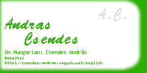 andras csendes business card